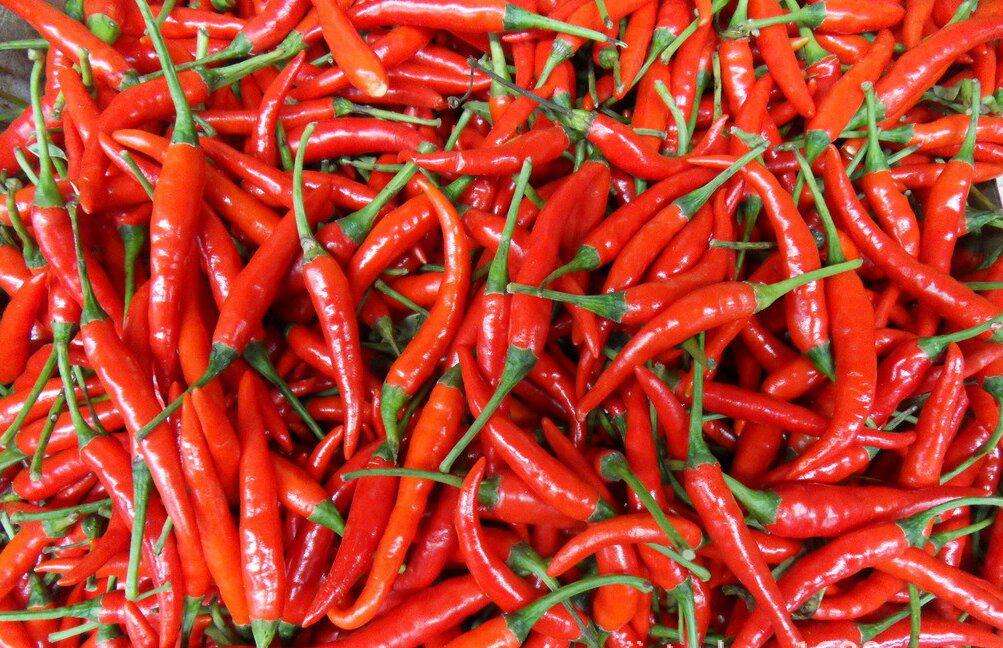 食用辣椒可改善心脏功能还能减肥